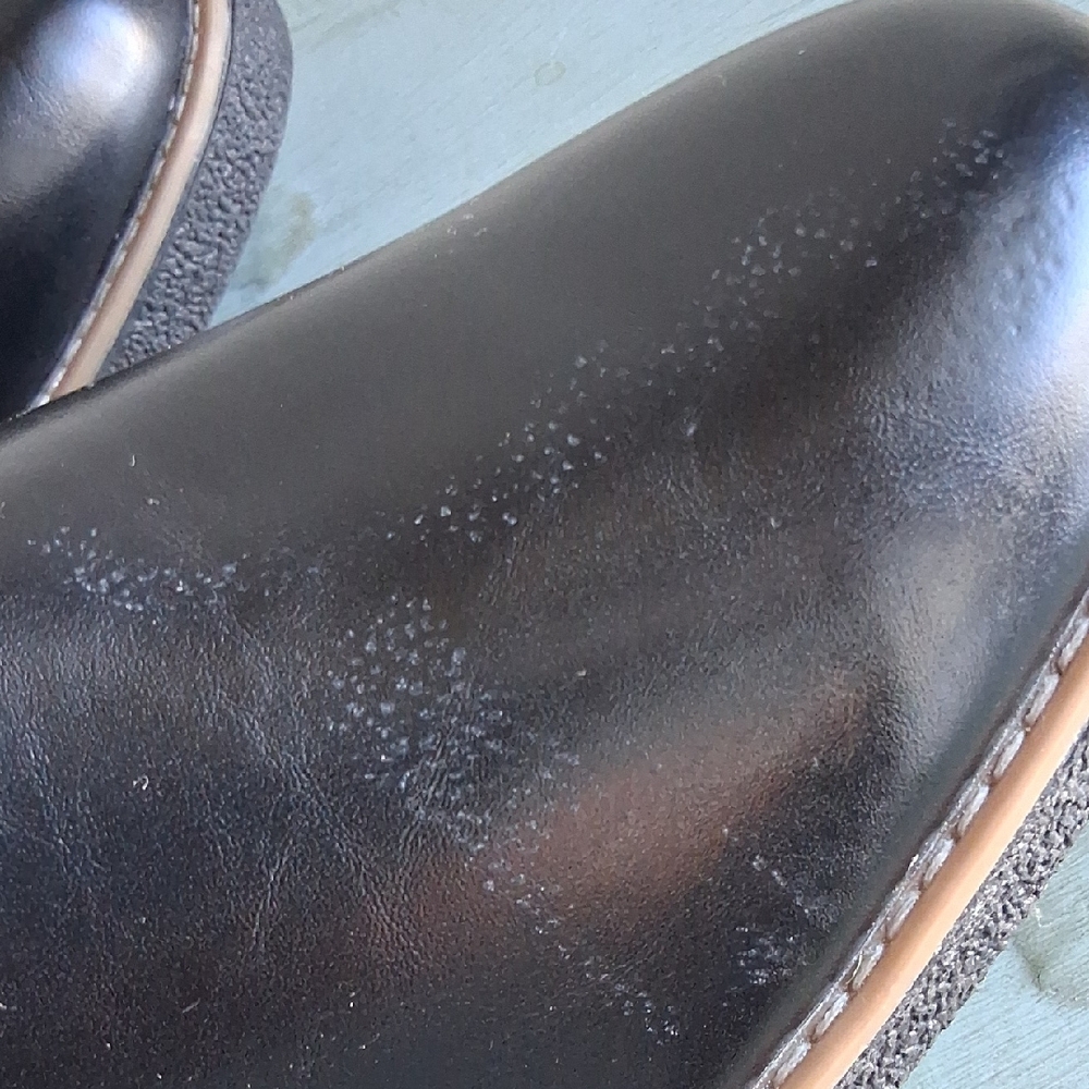 Deer Stags Rockland Chelsea Black Chukka Boots Sz12. NEW Streetwear Offic - Picture 10 of 14